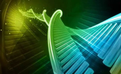 溫州生材所聯合上海交大、浙大成立研發中心，生物基材料技術助力阿爾茨海默癥治療