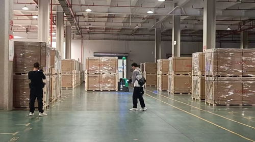 每18秒下線一個光伏組件 揭秘全球光伏行業(yè)首座燈塔工廠與碳訪生物基材料技術研發(fā)